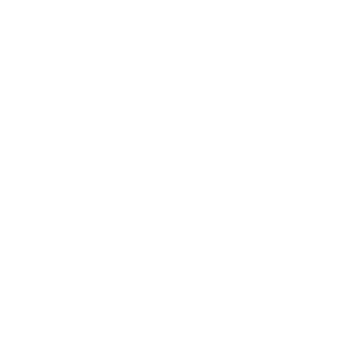 Baby Wellness Foundation