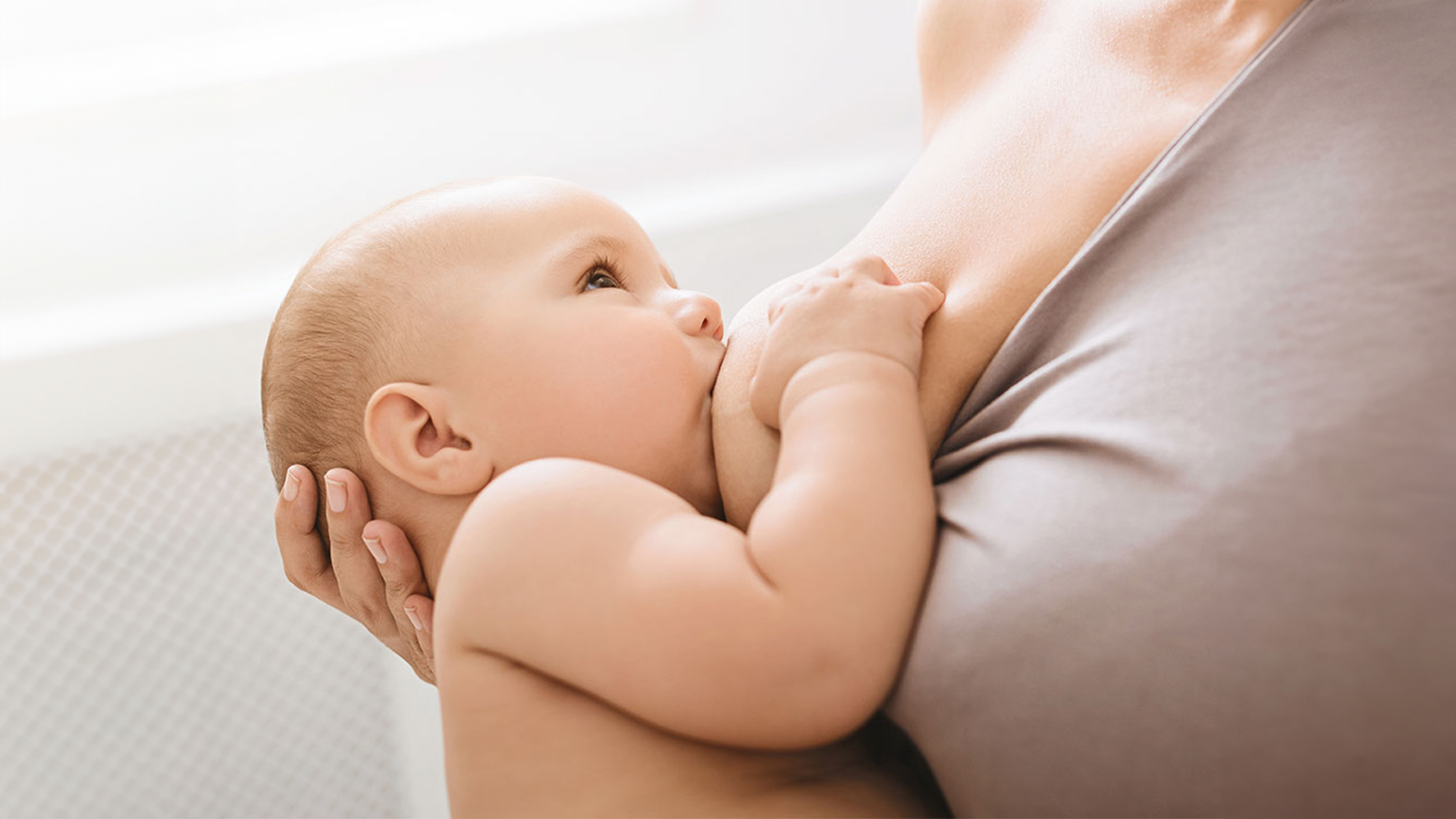 Anatomia della mammella e fisiologia dell’allattamento al seno