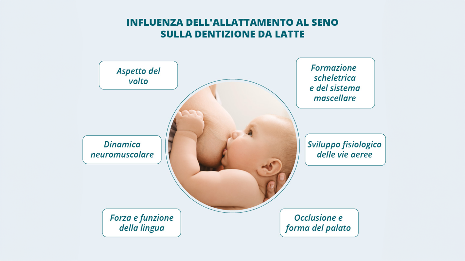 Il ruolo dell’allattamento nel corretto sviluppo cranio-facciale del neonato