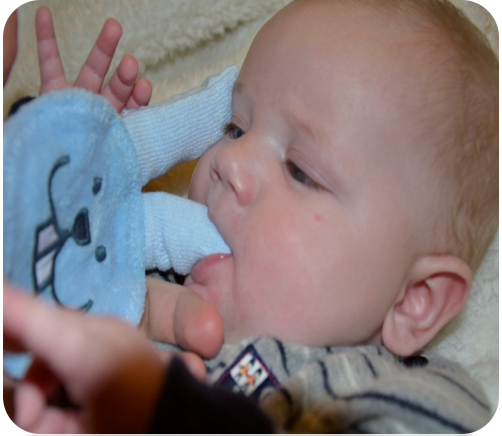 La primissima igiene del cavo orale del neonato: come e quando - Baby  Wellness Foundation