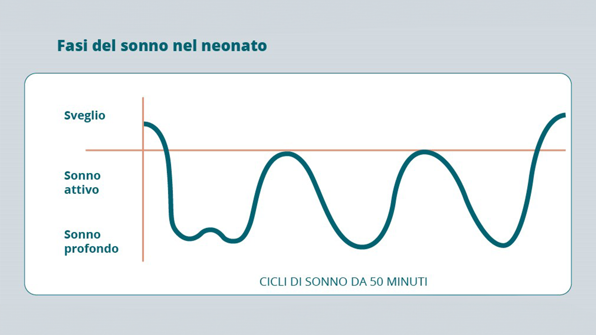 I cicli di sonno-veglia del neonato