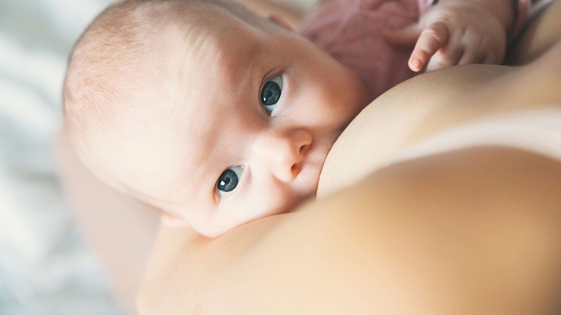 La conservazione del latte materno
