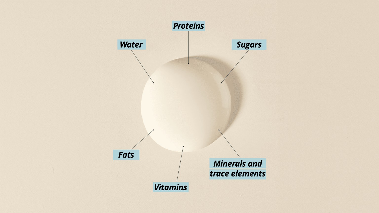 Breast Milk: a complex system for neonatal nutrition
