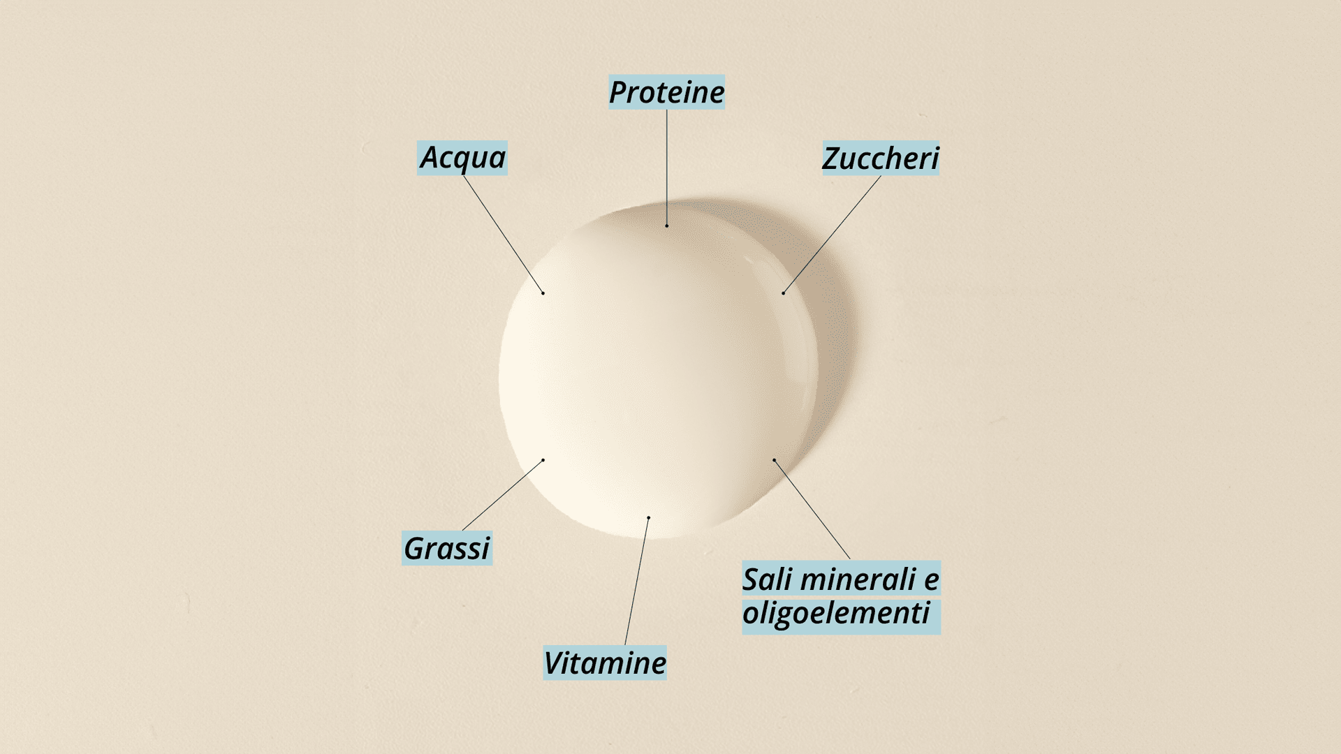 Il latte materno: un sistema complesso per la nutrizione neonatale