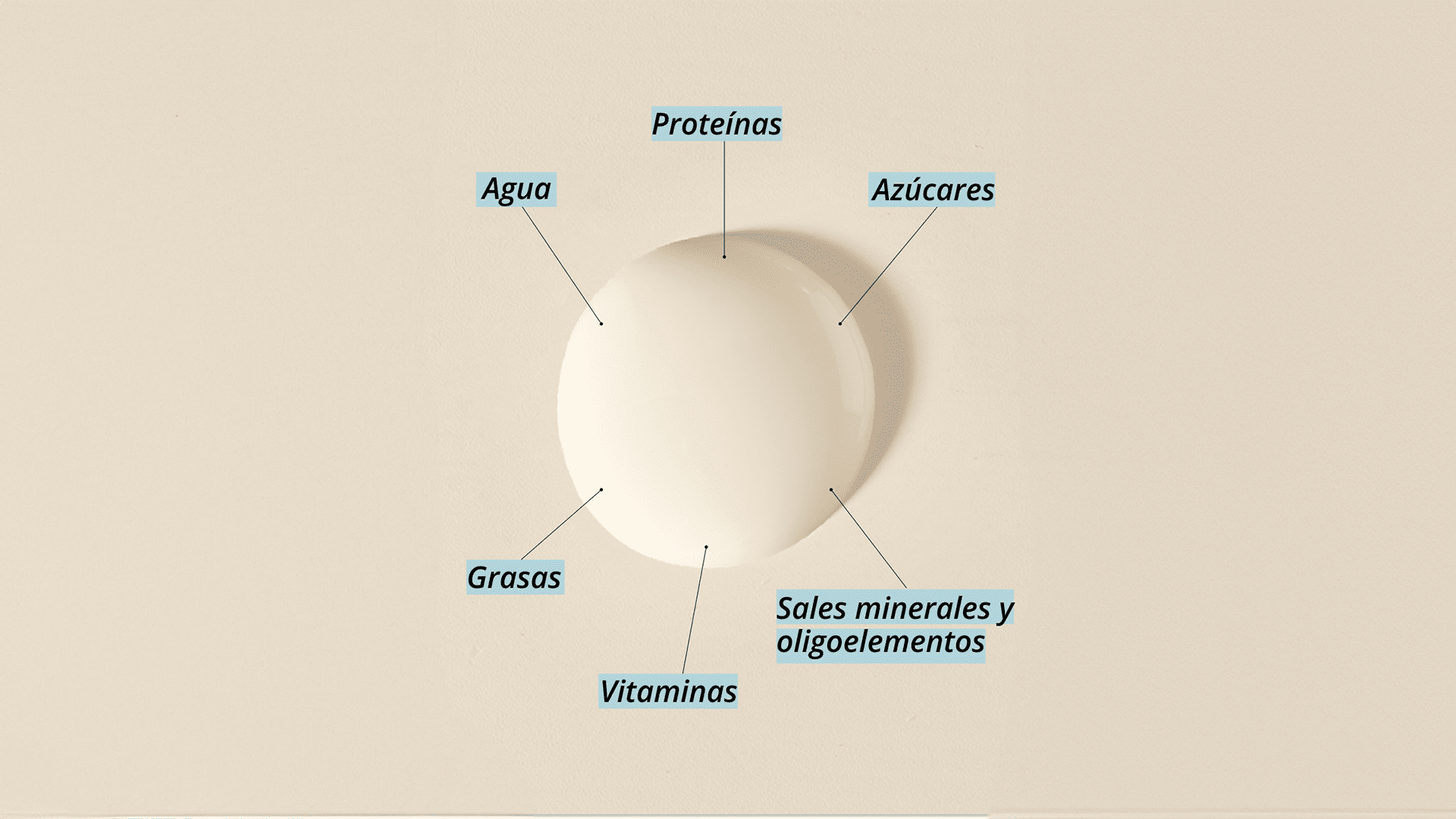 La leche materna: un sistema complejo para la nutrición neonatal