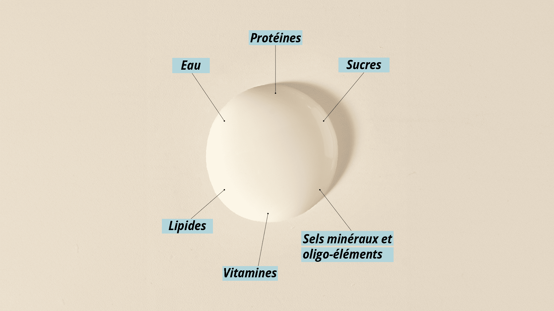 Le lait maternel: un système complexe pour la nutrition néonatale