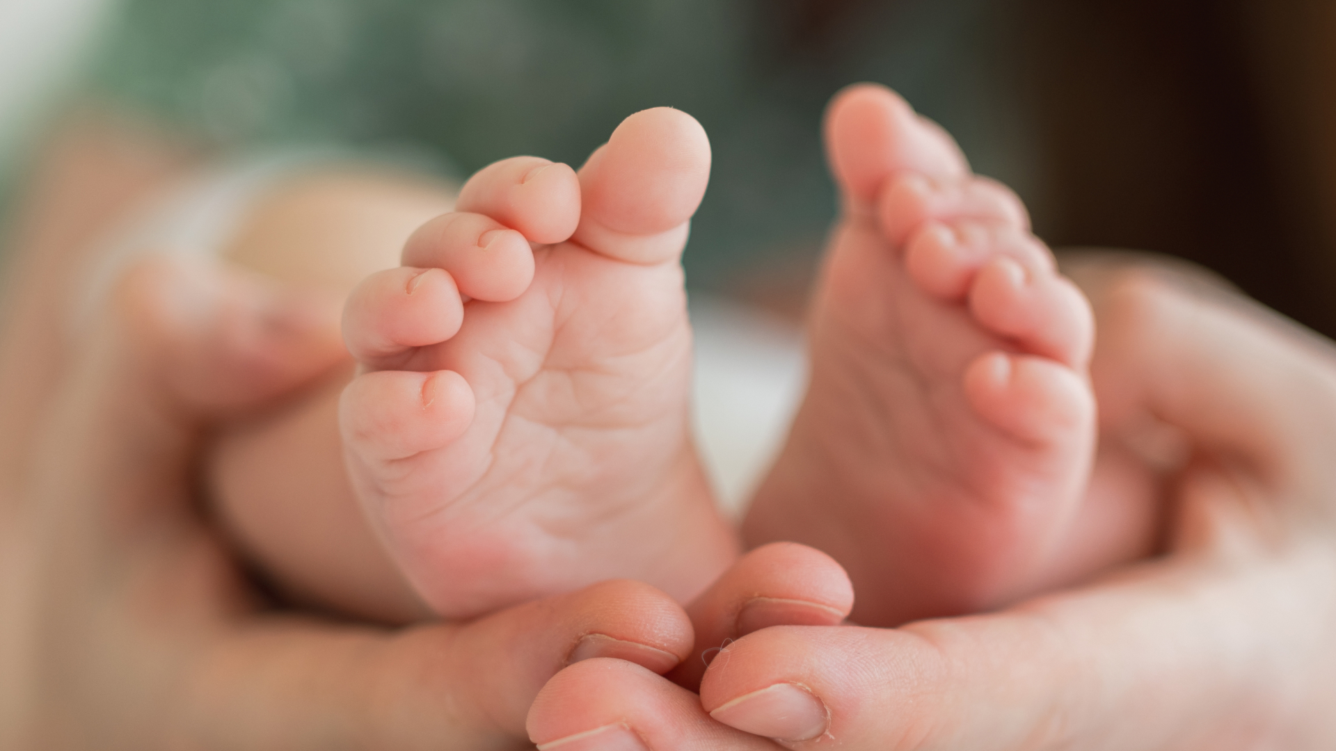 Dynamic development of the infant foot: biomechanics, neuro-sensoriality and functional implications in the first steps