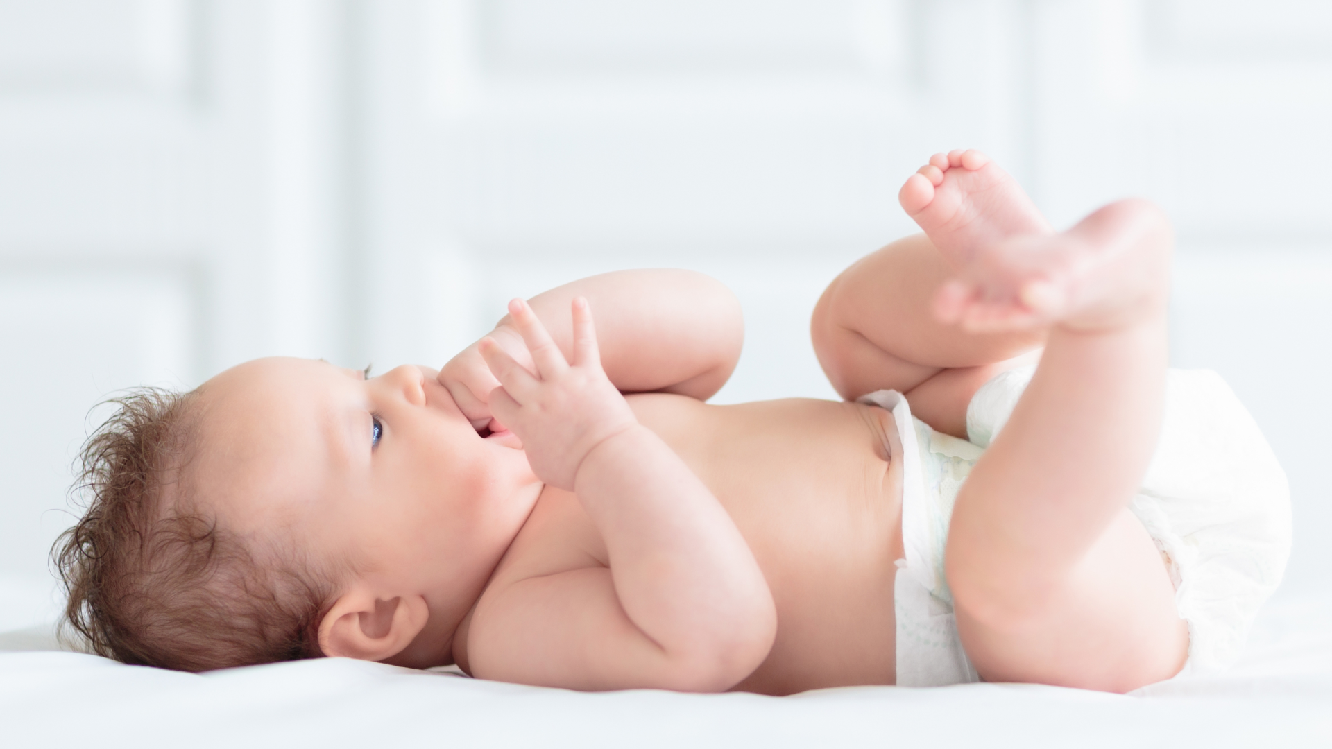 Brown adipose tissue in the postnatal period