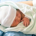 Cellule staminali: architettura biologica avanzata, traiettorie di sviluppo e rilevanza clinica nel continuum materno-neonatale