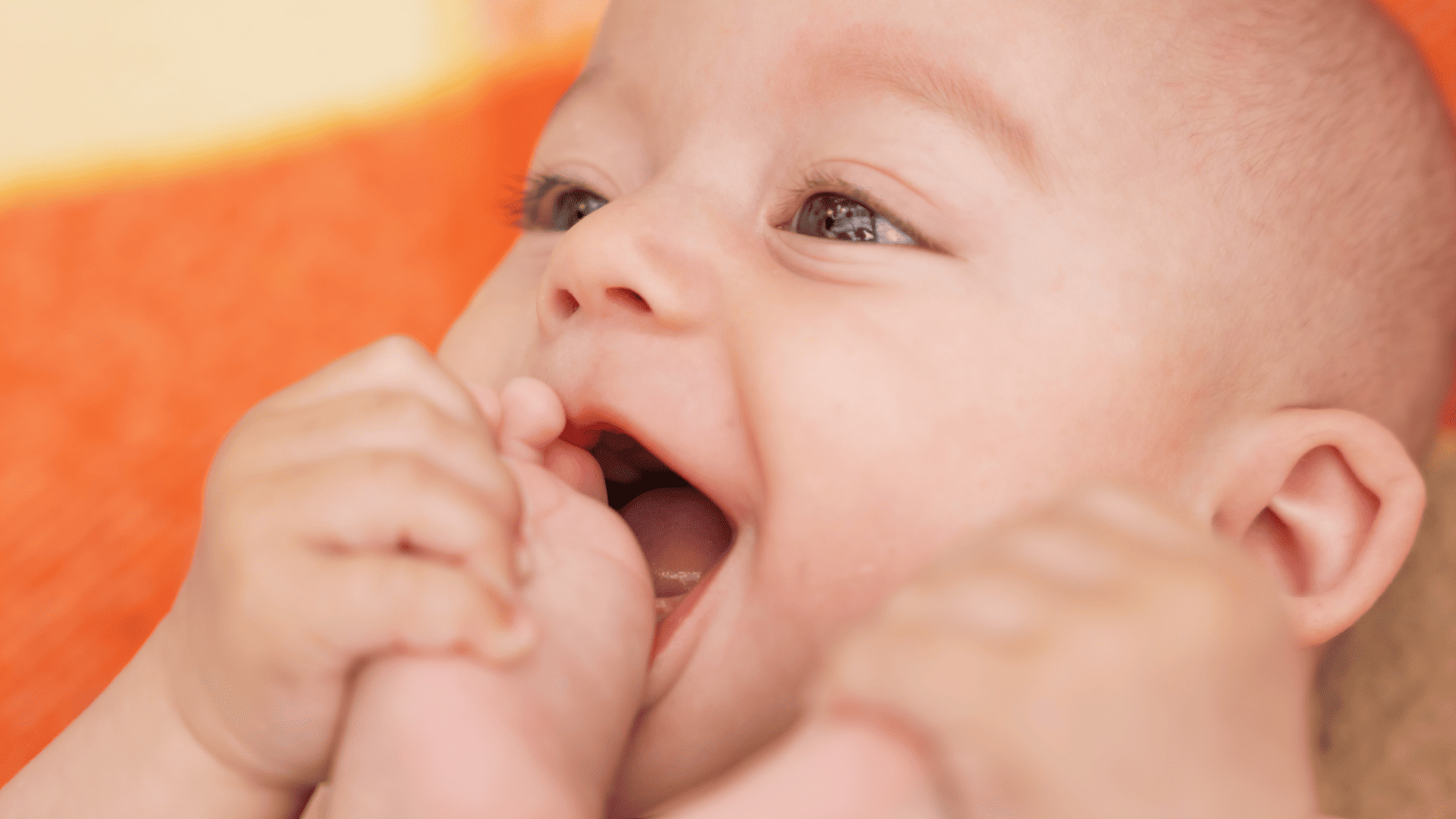 Oral Feet Exploratory Behavior