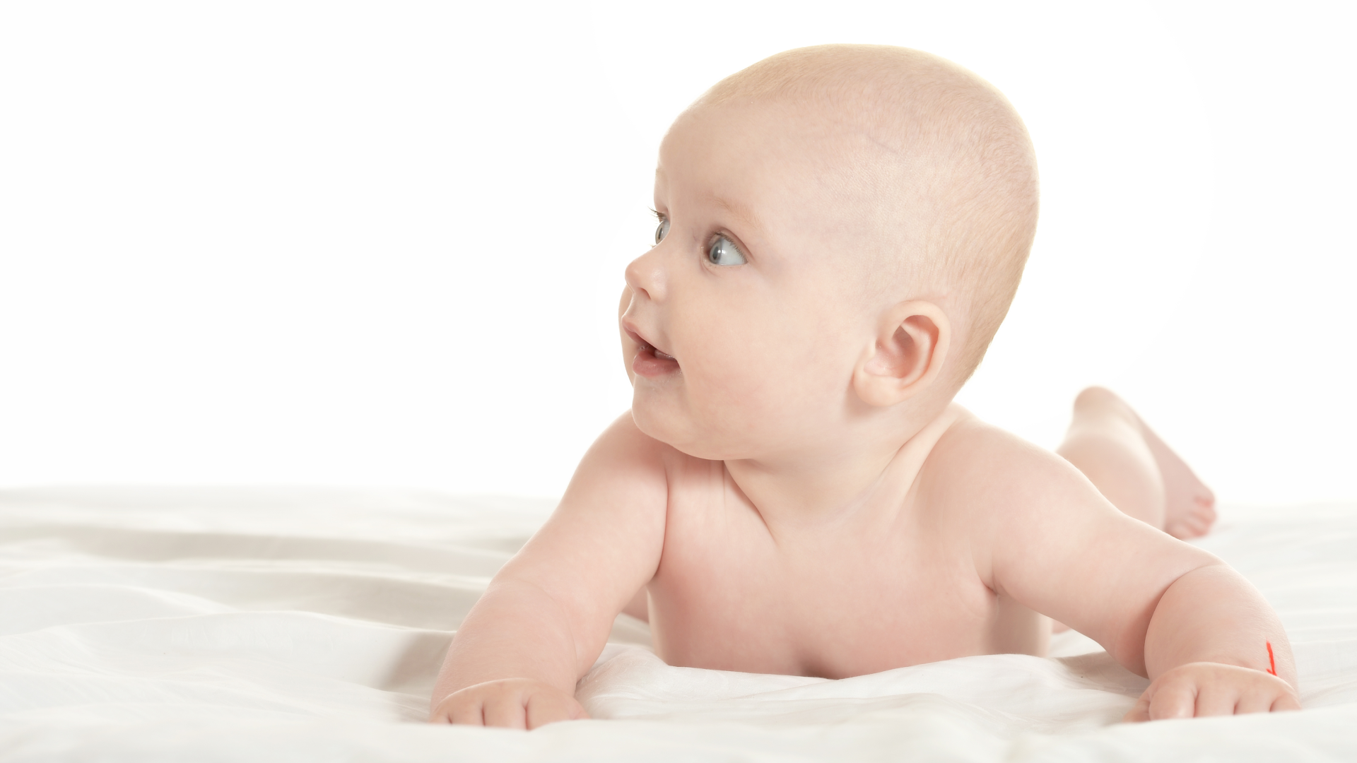 Retroposición mandibular neonatal y maduración del aparato estomatognático: papel de la succión materna en el crecimiento anteroposterior