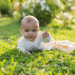 Api e bambini: conoscere, rispettare e proteggere
