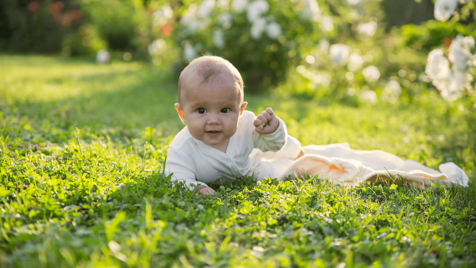Bees and children: knowing, respecting and protecting
