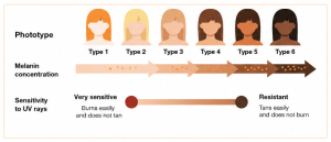Figure 1: Graphical representation of the different skin phototypes and their respective sensitivity to UV radiation